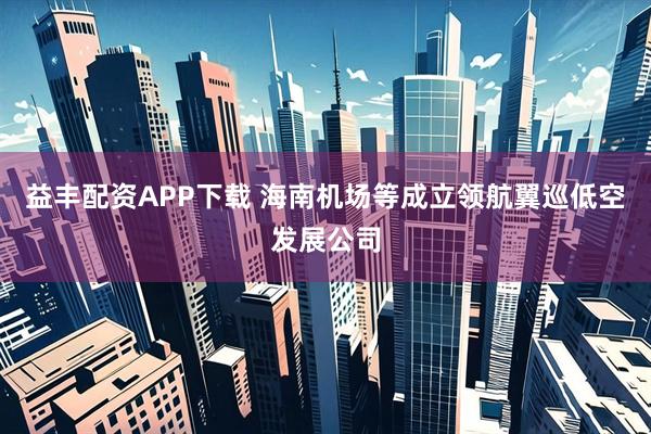 益丰配资APP下载 海南机场等成立领航翼巡低空发展公司