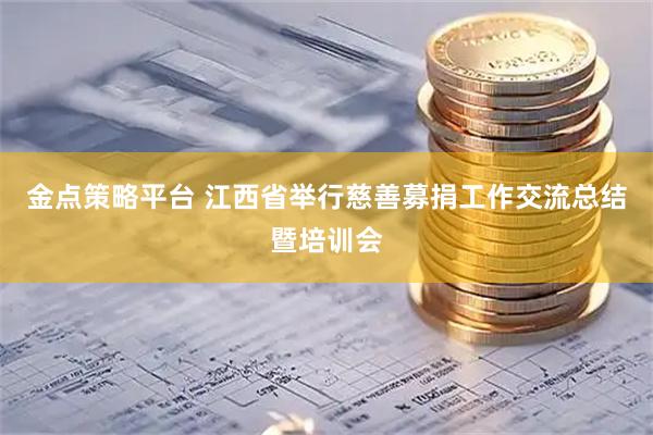 金点策略平台 江西省举行慈善募捐工作交流总结暨培训会