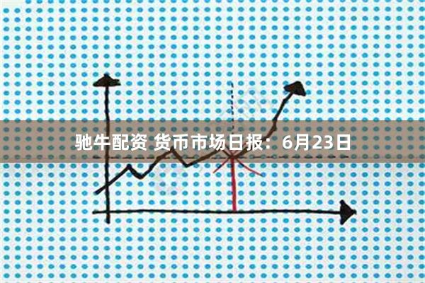 驰牛配资 货币市场日报：6月23日