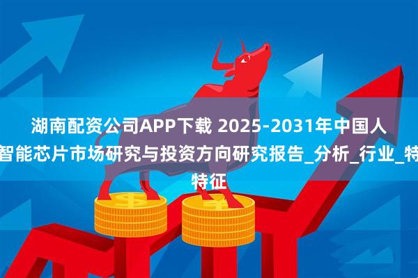 湖南配资公司APP下载 2025-2031年中国人工智能芯片市场研究与投资方向研究报告_分析_行业_特征
