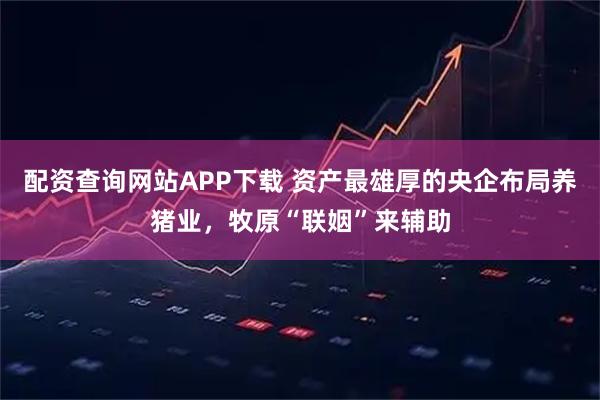 配资查询网站APP下载 资产最雄厚的央企布局养猪业，牧原“联姻”来辅助
