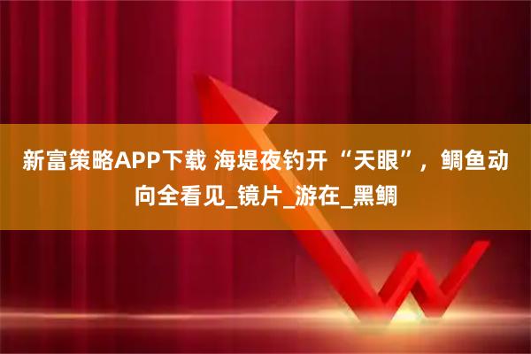 新富策略APP下载 海堤夜钓开 “天眼”，鲷鱼动向全看见_镜片_游在_黑鲷