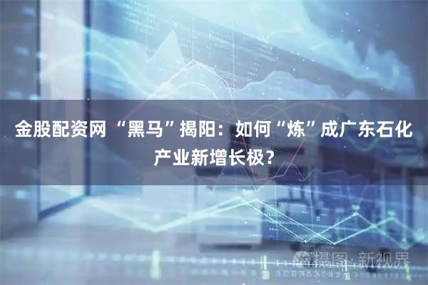 金股配资网 “黑马”揭阳：如何“炼”成广东石化产业新增长极？