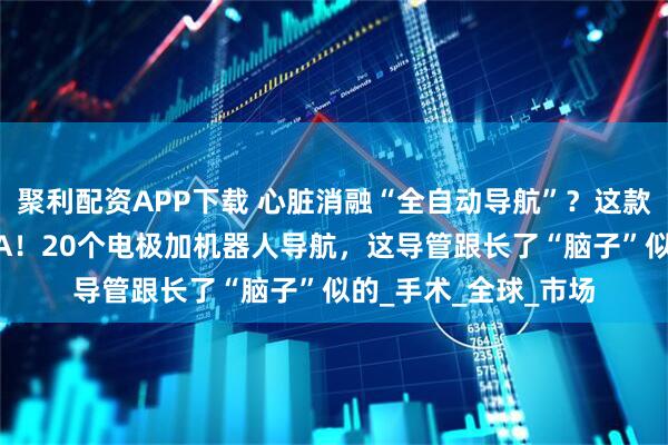 聚利配资APP下载 心脏消融“全自动导航”？这款导管直接惊动了FDA！20个电极加机器人导航，这导管跟长了“脑子”似的_手术_全球_市场