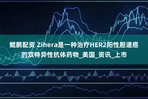 鲲鹏配资 Zihera是一种治疗HER2阳性胆道癌的双特异性抗体药物_美国_资讯_上市