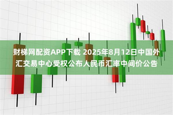 财梯网配资APP下载 2025年8月12日中国外汇交易中心受权公布人民币汇率中间价公告