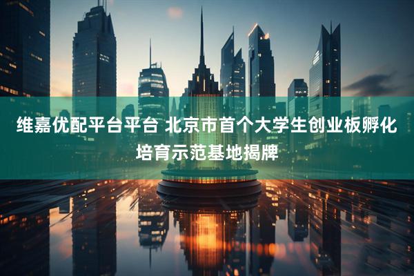 维嘉优配平台平台 北京市首个大学生创业板孵化培育示范基地揭牌